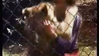 Лев по имени христианин