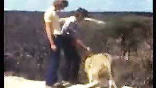 Лев по имени христианин