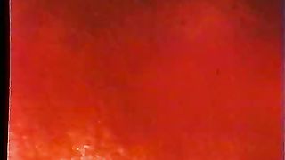 Дневник нерождённого ребёнка