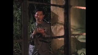 Зимний бамбук (1991)