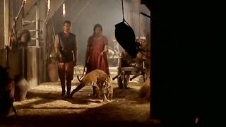 Библейские сказания: Ноев ковчег