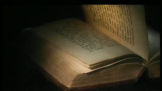 Рафаэль Наварра — Ноев Ковчег