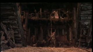 Рафаэль Наварра — Ноев Ковчег