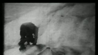 Рафаэль Наварра — Ноев Ковчег