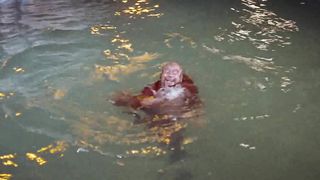 Плащаница (1953)