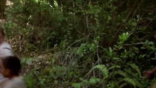 Последний полёт (2004)