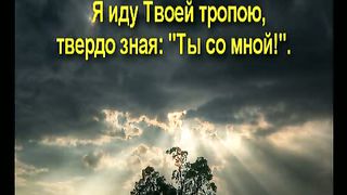 Небо надо мной синеет