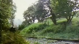 Следы на снегу (1983)