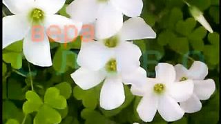 Бессарабов Николай - Духовный рост 5