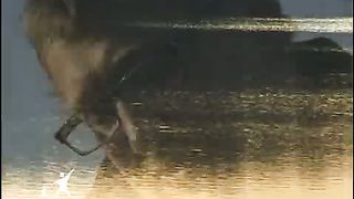 Сергей Демидович - Сокровенное