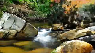 Людмила Руссу - Остановись