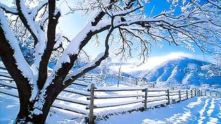 Людмила Руссу - Остановись