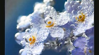 Небеса ожидают меня радость ждёт