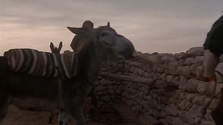 Дело Назарянина (1986)