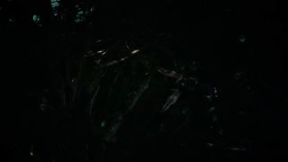 Библия. В начале 1