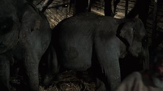 Библия. В начале 1