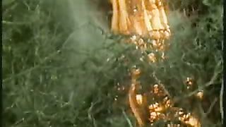 Библейские сказания. Книга Бытие 1