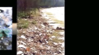 Интервью с собой