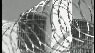 Тарас Мекеда