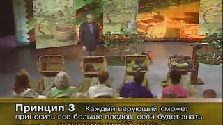 Тайна виноградной лозы