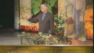 Тайна виноградной лозы 3