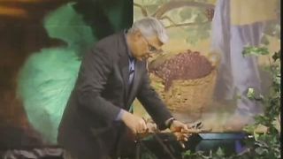 Тайна виноградной лозы 6