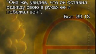 Тайна виноградной лозы 6