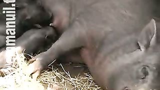 Клуб суперкниги 34 Гостеприимство