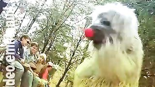 Клуб суперкниги 47 Что посеешь, то пожнешь