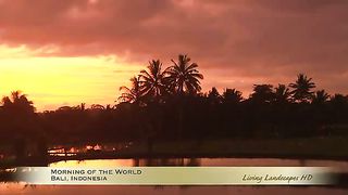 Красивейшие Рассветы и Закаты 2009