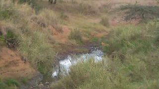 Живые Пейзажи Дикая Африка (2007)