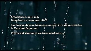 Птицы 2 Путешествие на край света (2005)