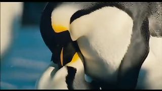 Птицы 2 Путешествие на край света (2005)