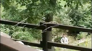 Очерки по истории реформации-3 2010