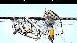 Геннадий Мохненко - Сексуальная борода