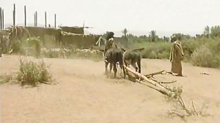 Встреча с Библией 01 Ной строит ковчег