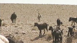 Встреча с Библией - Братья продают Иосифа в рабство