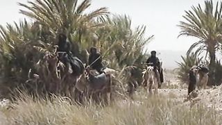 Встреча с Библией - Братья продают Иосифа в рабство