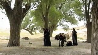 Встреча с Библией - Руфь и Ноеминь