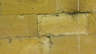 Встреча с Библией - Пророк Иеремия и царь Иудейский