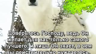 Правда о новом мировом порядке 3