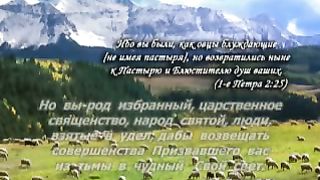 Василий Савич - Вы род избранный