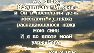 Василий Савич - Искупитель мой жив