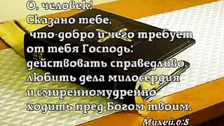 Василий Савич - Действовать справедливо