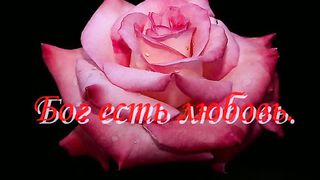 Геннадий Никутьев - Наша жизнь как монета