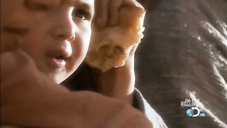 Discovery Божий гнев (2010)