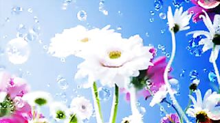 Божья Любовь