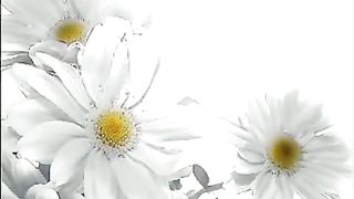 Божья нежность ролик