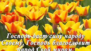 Божие благословения Ролик