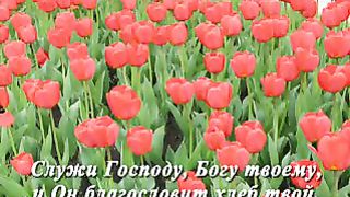 Божие благословения Ролик